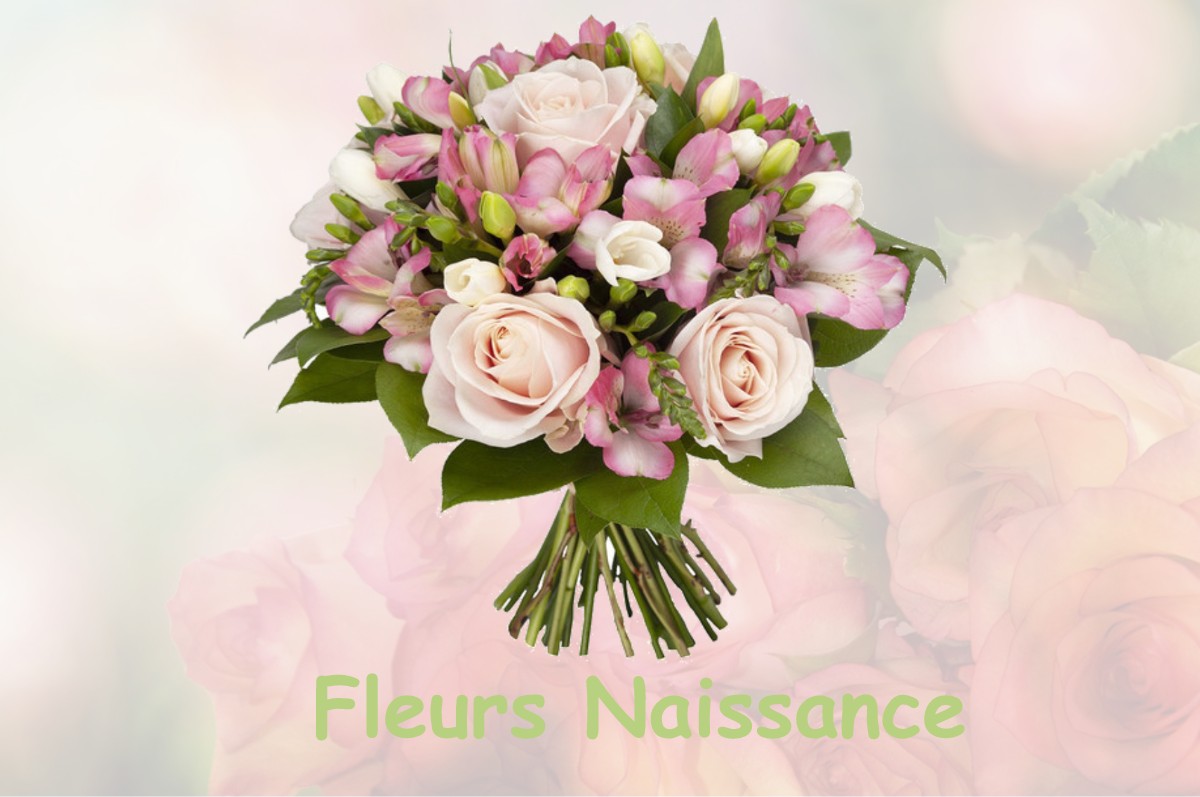 fleurs naissance PROVEYSIEUX