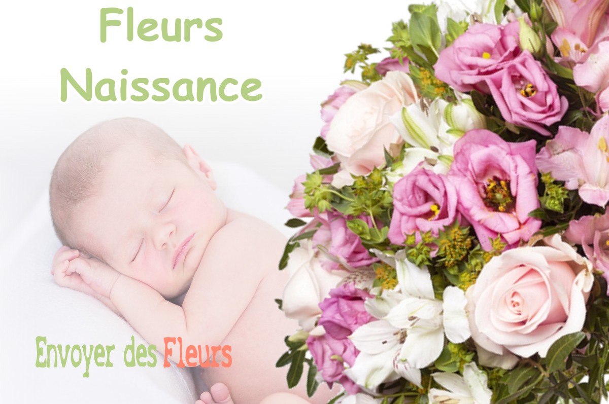 lIVRAISON FLEURS NAISSANCE à PROVEYSIEUX